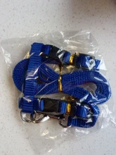 Arnés y correa para cachorros y gatitos, cinturón de tracción ajustable para animales, cuello Halter para gatos y gatitos, sin cartón