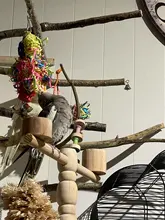 Juego de juguetes para pájaros, Set de 3 unidades por lote para trituradora de loros, jaula colgante variada de forrajeo, estante para masticar pájaros, juguetes para mascotas, juguete para loros molares