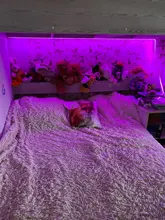 Neon Ribbon Diode Background-Lighting Light Usb Led-Strip Pc-Screen 2835SMD Flexible