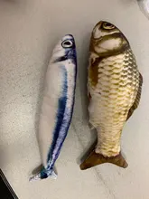 Cheap Pet Products Fish Toy Cat Scratch Board Scratching Post Catnip toys for Cat Pet