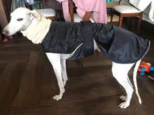 Jacket Clothing Coat Greyhound Waterproof Dog Dogs Large Super-Warm Medium Thick 