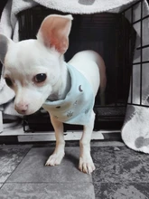 Pañuelo de gato Triangular para perros pequeños, Bandana de algodón lavable, Collar, bufanda, Baberos de cachorro de moda ajustables