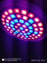 Grow-Lamp Lights-Plants E27-Hydroponic-System Indoor-Lighting 80leds Full-Spectrum 220V