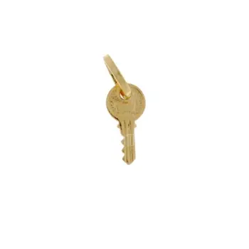 

Key pendant yellow gold 803321705416