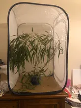 Jaula para insectos para cría, caja de red para insectos, palo de Mantis de oración, caja de seguridad para cría de mariposas, suministros para aves