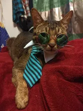 Pajarita a rayas para perro y gato, Collar ajustable para mascotas, corbata blanca para perro, y boda para fiesta, 2020