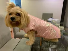 Dogs Vest Coat Pet-Clothing Puppy-Dog-Clothes Small Waterproof Winter Medium Warm Cute