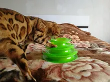 Toy Pet-Toy-Ball Carousel-Ball Track Cat-Supplies Three-Layer-Tower Baby Automatic