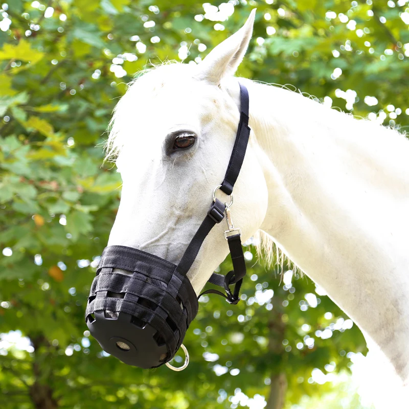 Cavpassion-Horse Grazing Muzzle with Halter, Equestrian Equipment, Easy Breathe, Comfortable, 8216012 3