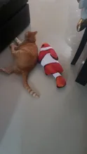 60cm Big Fish Shape Cat Toys for Cats Plush Catnip Mint Stuffed Kedi Kitty Toy Bite Puppy