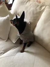 Coat Puppy Clothing Pet-Dog-Jacket Dogs Chihuahua Yorkshire Hoodies Outfit Small Winter