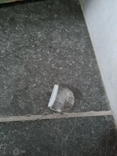 Tope de puerta autoadhesivo, anticolisión, Tope de puerta para casa y oficina, protección de paredes y muebles