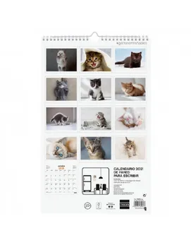 

Annual calendar CAL. Wall ESP25X40 2021kittens +