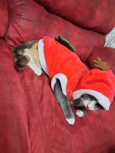 Christmas Dog Clothes Small Dogs Santa Costume for Pug Chihuahua Yorkshire Pet Cat Clothing