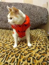 Pet Dog Winter Coat Small Dog Clothes Warm Dog Jacket Puppy Outfit Dog Coat Chihuahua