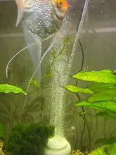 Bandeja de Nano burbujas para acuario, accesorios de bomba de oxígeno, bandeja para ARENA, bomba de aire, piedra