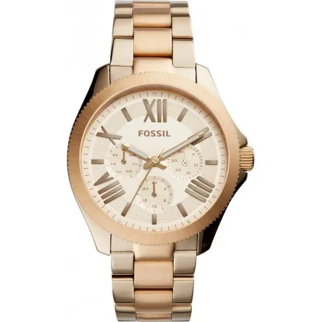 Часы Fossil Женская коллекция Cecile AM4634