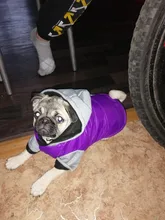 Hoodies Jacket Puppy French-Bulldog Small Dogs Waterproof Dog Chihuahua Winter Autumn