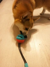 Pet Dog Toys Silicon Suction Cup Tug dog toy Dogs Push Ball Toy Pet Tooth Cleaning Dog