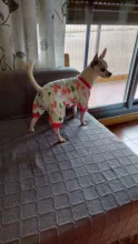 Pyjama Clothing Dog-Puppy-Jumpsuit Sleepingwear Warm Dogs Yorkshir-35 for Small Cat Medium