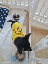 Nueva moda deportes ropa de perro T camisa traje Yorkshire Chihuahua cachorro Ropa para perros de verano perro gato camisa chaleco XS-XXL