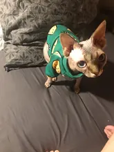 Ropa de gato para gatos, disfraz de gato de invierno, Sudadera con capucha, suéter, ropa de cachorro mascota, productos para gatos