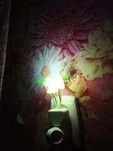 Luminaria-Lamp Mushroom Night-Light Us-Plug LED Induction-Dream Novelty Fungus 220V EU