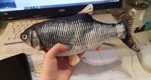 Usb-Charger Fish-Cat-Toy Chew Moving Funny Electric Kitten-Plaything-Supplies Bite Simulation-Wagging