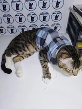 Vest Clothing Costume Pet-Jacket Fleece Doggy Puppy Animal Winter Warm for Soft-Plaid