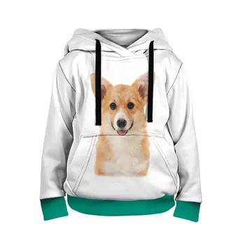 

Children's sweatshirt 3D Pembroke-Welsh-corgi