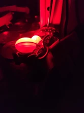 Collar con linterna LED para perro y gato, colgante brillante, Collar de Mascota de seguridad nocturna, collares luminosos de decoración brillante para perros