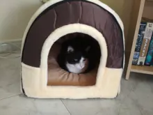 CAWAYI KENNEL Dog Pet House Products Dog Bed For Dogs Cats Small Animals cama perro hondenmand