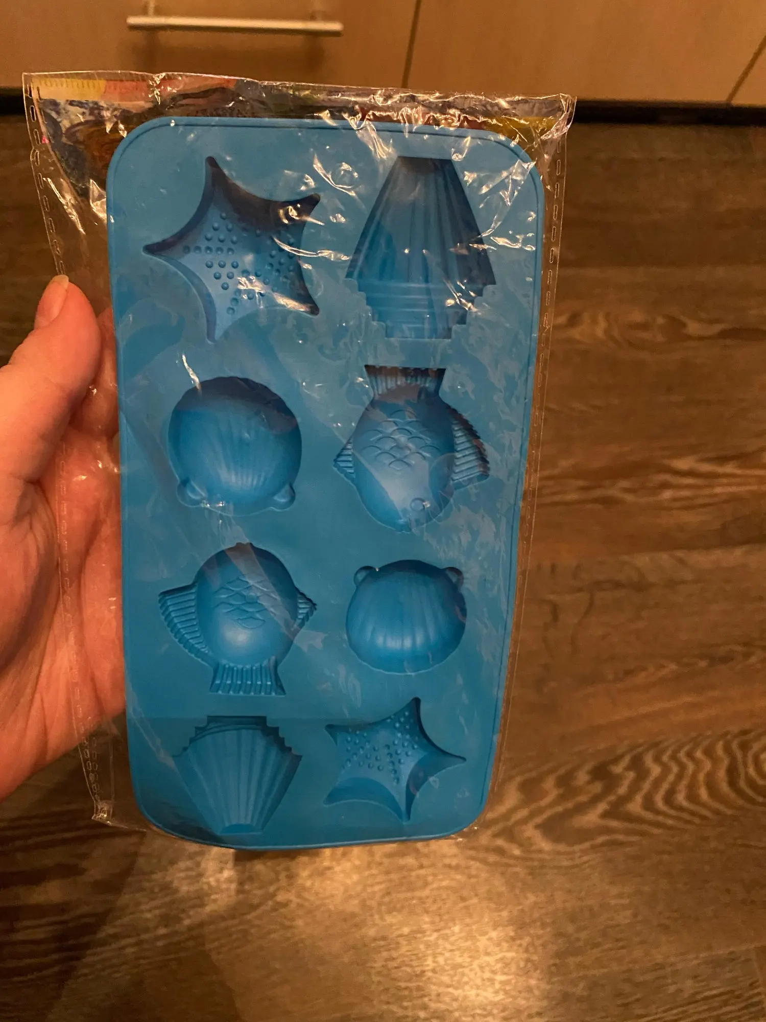 Ice Maker Shape Silicone Mold photo review
