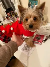 Costume Dog Shirt Dress Christmas Cat-Coat Couple for Small Cats Terrier Ropa Para Perro