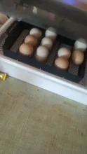 La más nueva máquina incubadora incubadora de incubadora de granja 4-35 incubadoras de huevos precio barato incubadora automática de huevos de pollo incubadora de codornices de aves