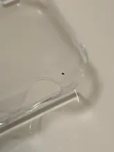 URVOI-funda completa para Apple Watch series 6 SE 5 4 3, marco de plástico, protector de pantalla para iWatch, funda fina, banda de 40 44mm