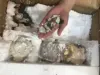 Изображение товара 5