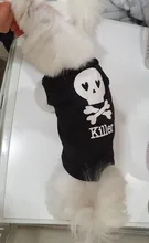 Puppy Shirt Teacup Dog-Vest Yorkie-Bulldog Dogs Pawstrip Summer Pet Small for Teddy