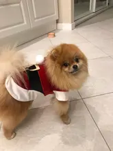 Costume Jackets Yorkie-Outfit Cat-Clothing Puppy Small Dogs Coat Hooded Pet-Dog Winter Dog