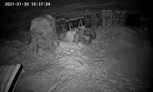 3MP cámara IP PTZ al aire libre Wifi velocidad Wireless Wifi de seguridad Pan Tilt cámaras de 4X Zoom Digital red CCTV vigilancia