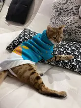 Cute Cat Sweater Costume Winter Warm Pet Clothes Cat Clothing for Cats Katten Kedi Giyim