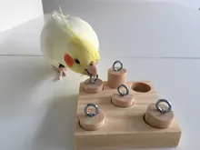 Pájaros loros plataforma de madera anillos de plástico entrenamiento de inteligencia Chew Puzzle juguete 54DC