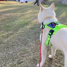 Dog Leash Nylon-Rope Pets Trainning Pet-Supplies Reflective Walk Durable for Large Small