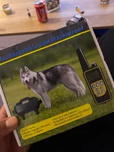 Collar de entrenamiento eléctrico para perros remoto impermeable recargable con pantalla LCD para todos los tamaños golpes vibración sonido 800m