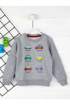 

Gray Seasonal Male Child Sweatshirt