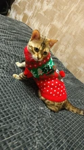 Dog Sweater Coat Clothing Cat-Costume Pet Christmas Halloween for Small Deer Warm