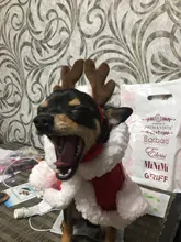 Pet Dog Cat Costume Christmas Antlers Hat Cloak Halloween Disguise Clothes For Cats Small