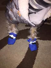 Pet-Shoes Snow-Boots Yorkie Anti-Slip Dogs Chihuahua Small Winter for Cats Reflective