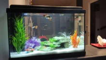 Aquarium-Light Fish-Tank-Lamp Waterproof Submersible LED Plant 110v 220V RGB 19-49CM