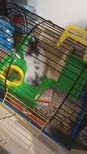 Chew-Toy-Accessory Mouse-Cage Hamster-House Wooden Nest Rat Natural Hut 1pc Flat-Top-Cabin